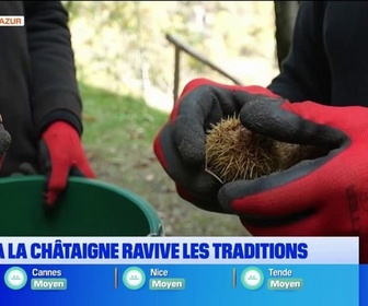 Replay Les longs formats des Locales - À Isola, la châtaigne ravive les traditions