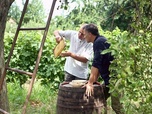 Replay Roumanie, les miracles des abeilles - Médecines d'ailleurs