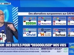 Replay Good Morning Business - Culture IA : GAFAM... des outils pour dégoogliser nos vies, par Anthony Morel - 27/01