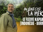 Replay Au bout c'est la mer - Le fleuve Kapuas (Indonésie-Bornéo)