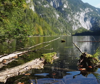 Replay Les plus grands secrets de l'histoire révélés - S4E3 - A la recherche du trésor des nazis