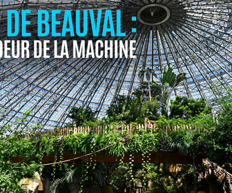 Replay Zooparc de Beauval : au coeur de la machine