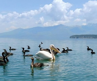 Replay Grèce - La beauté sauvage des Balkans