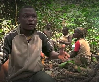 Replay ARTE Reportage - Cameroun : la terreur verte (2018)