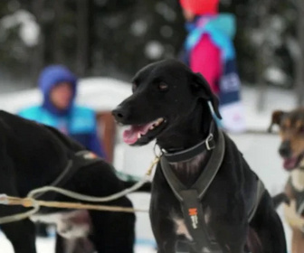 Replay Le doc du Mag santé - 24/12/2025