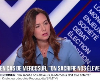 Replay BFM Politique - Budget 2026: J'ai établi un contre-budget qui propose 80 milliards d'économies, déclare Sarah Knafo, eurodéputée Reconquête