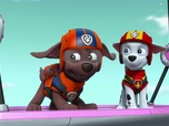 Replay Paw Patrol, la Pat'Patrouille - Sauvetage extrême : Une mission en montagne