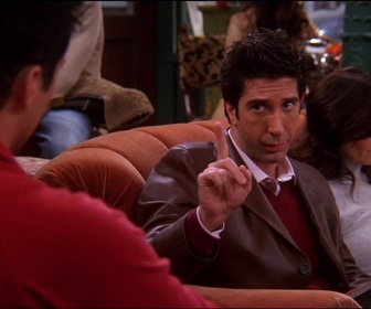 Replay Friends - S09 E12 - Celui qui défendait sa nounou