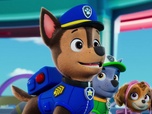Replay Paw Patrol, la Pat'Patrouille - Yumi l'Abeille