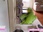 Replay Le grand bêtisier des animaux