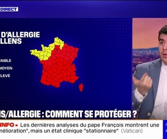 Replay 20H BFM - Alerte rouge aux pollens: les conseils pour limiter les risques de réaction allergique?