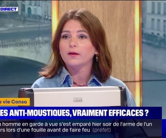 Replay C'est votre vie - Insecticides, bracelets, lampes à UV... les produits anti-moustiques sont-ils vraiment efficaces ?