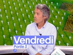 Replay Quotidien troisième partie du 1 novembre 2024