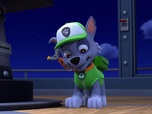 Replay Paw Patrol, la Pat'Patrouille - La soirée cinéma