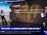 Replay La banane sera-t-elle bientôt hors de prix? BFMTV répond à vos questions