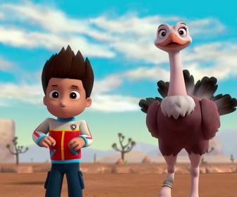 Replay Paw Patrol, la Pat'Patrouille - Les bébés autruches