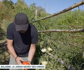 Replay Un jour, un doc week-end - La Balagne, le jardin secret des Corses