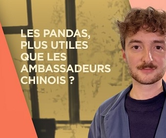 Replay Les pandas, plus utiles que les ambassadeurs chinois ?