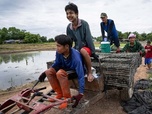 Replay ARTE Journal - Thaïlande : les réfugiés birmans n'ont plus à se cacher