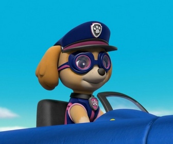 Replay Paw Patrol, la Pat'Patrouille - S06 E47 - Sauvetage Extrême : Les championnats de la Grande Vallée