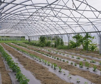 Replay A la source - Loire Bretagne : Peut-on faire de l'agriculture avec juste de l'eau de pluie ?