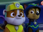 Replay Paw Patrol, la Pat'Patrouille - Le fantôme de la mare aux grenouilles