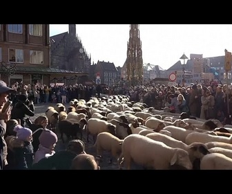 Replay Des troupeaux de moutons traversent des villes allemandes pour les pâturages d'hiver