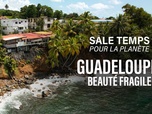 Replay Sale temps pour la planète - Guadeloupe, beauté fragile