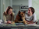 Replay Rex, chien flic - Ondes troubles