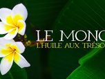 Replay Le monoï : l'huile aux trésors