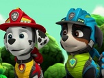 Replay Paw Patrol, la Pat'Patrouille - Mission Dino : Le réveil du volcan