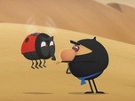 Replay Ninja Express - Chasse au trésor