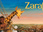 Replay Zarafa