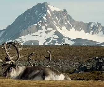 Replay Norvège, Dovrefjell-Sunndalsfjella - Les parcs naturels... en Minuscule