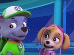 Replay Paw Patrol, la Pat'Patrouille - La Pat'Patrouille et l'extra-terrestre
