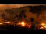 Replay La Cour des comptes épingle l'UE pour sa lutte contre les incendies