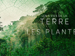 Replay Les 5 vies de la Terre - 01/10/2026