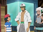Replay Pokemon - S21 E14 - Motisma fait de son mieux !