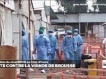 Replay Journal De L'afrique - Épidémie de Mpox en Afrique : un nouveau variant inquiète