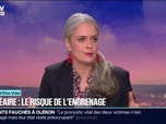 Replay 20H BFM - LE CHOIX D'ELSA VIDAL - Nucléaire: le risque de l'engrenage