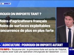 Replay La chronique éco - Jusqu'à 20% de son alimentation: pourquoi la France importe autant de produits agricoles