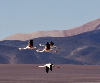 Replay Córdoba et Cuyo - Au fil de l'Argentine