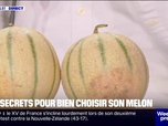Replay Week-end première - Poids, pédoncule... Comment bien choisir son melon