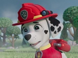 Replay Paw Patrol, la Pat'Patrouille - Mr Hellinger et l'oison