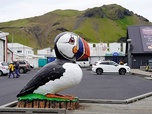 Replay En Islande, on sauve les macareux - ARTE Regards