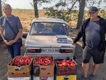 Replay ARTE Reportage - Ukraine : la résistance agricole