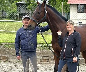 Replay Hippisme : la dangereuse course de Pardubice - ARTE Regards