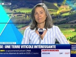 Replay Tout pour investir - Dans quoi j'investis ? : Corse, une terre viticole intéressante - 25/06