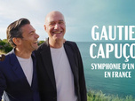 Replay Gautier Capuçon : symphonie d'un été en France