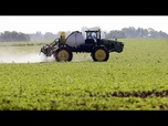 Replay Les Français se rebellent contre un pesticide autorisé dans l'Union européenne